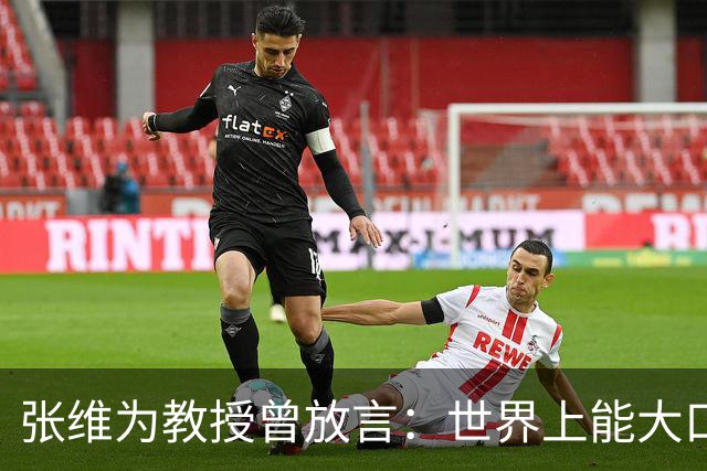 张维为教授曾放言：世界上能大口吃肉、大口吃蔬菜的，只有中国