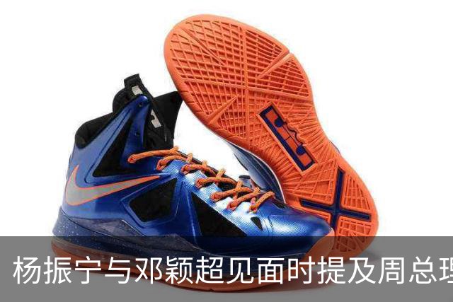 杨振宁与邓颖超见面时提及周总理：他已病重，为何不让他好好休息？