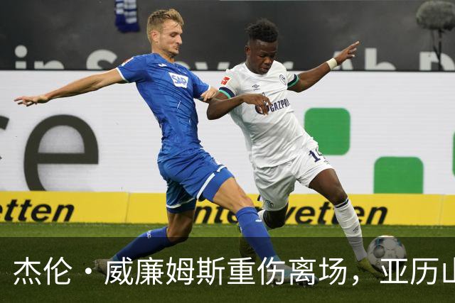杰伦·威廉姆斯重伤离场，亚历山大含泪：撑到他回来
