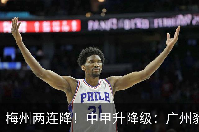 梅州两连降！中甲升降级：广州豹、南通支云冲超，梅州与佛山降级