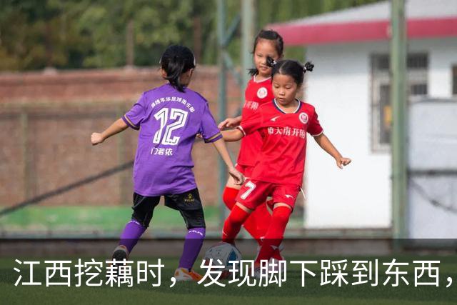江西挖藕时，发现脚下踩到东西，众人合力将其挖出后全都傻眼