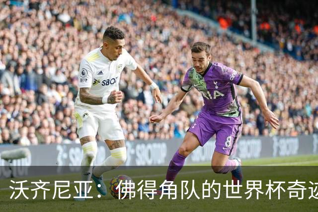 沃齐尼亚：佛得角队的世界杯奇迹属于所有球员，并不仅仅是我