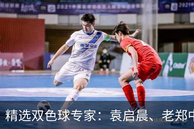 精选双色球专家：袁启晨、老郑中一等奖1033万！