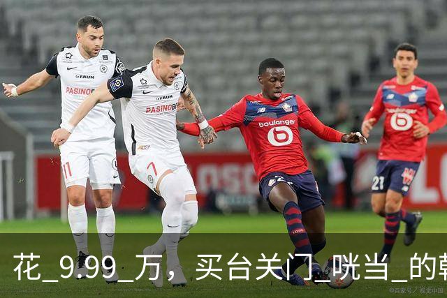 花 9.99 万，买台关门 "咣当" 的韩版兰博基尼