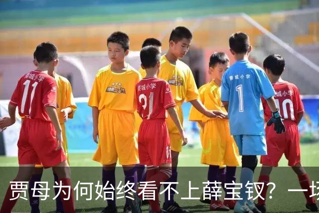 贾母为何始终看不上薛宝钗？一场螃蟹宴，早就把答案摆上了桌