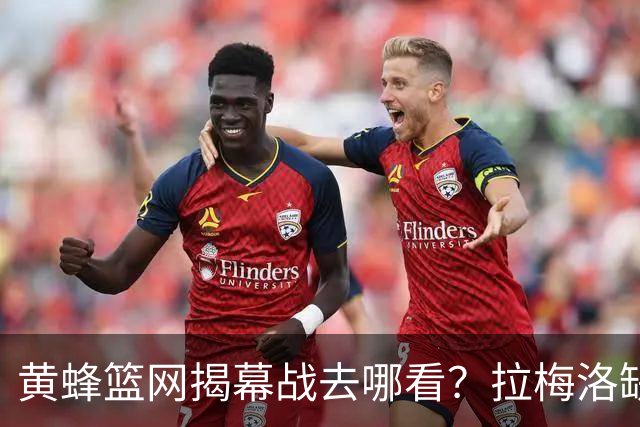 黄蜂篮网揭幕战去哪看？拉梅洛缺阵，DAZN免费试用能看